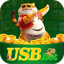 usbbet Casino Premium v1.1.6